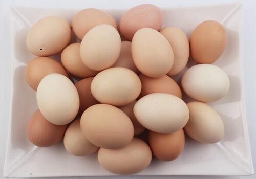 鸡蛋表面特征