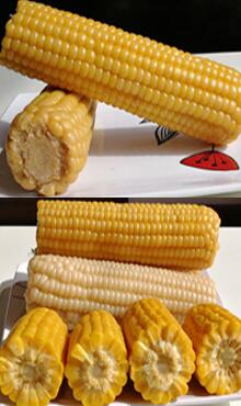 玉米棒图片细节